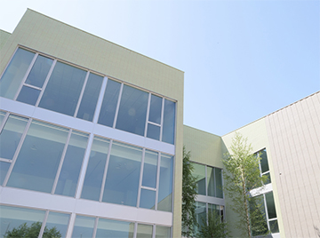 Campus Torrejón