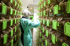Centro de Experimentación Animal