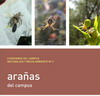 arañas del campus